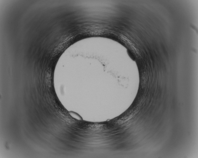 X0000096490497200802211241