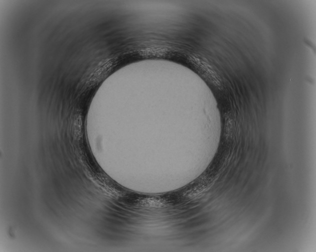 X0000096490498200802211241