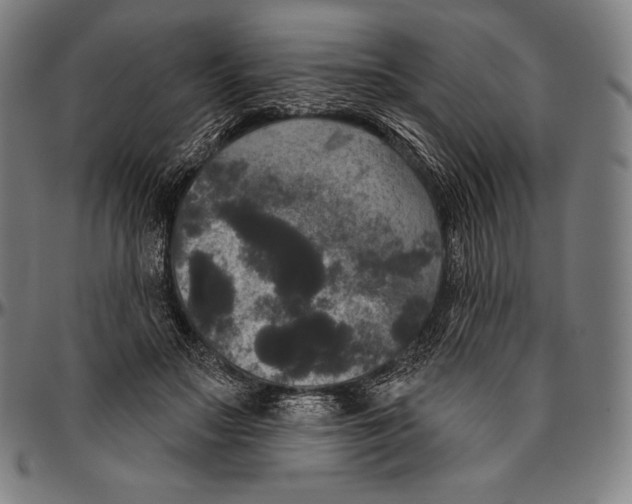 X0000096490499200802211241