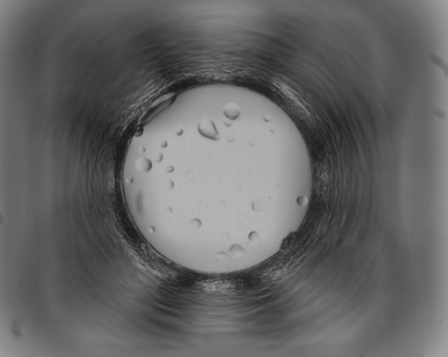 X0000096490500200802211241