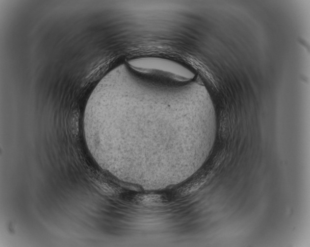 X0000096490501200802211241