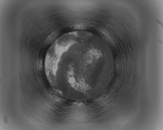 X0000096490502200802211241