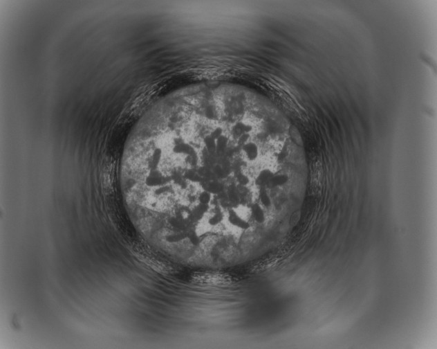 X0000096490503200802211241