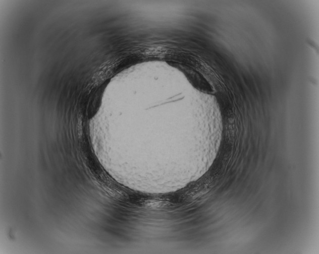 X0000096490504200802211241