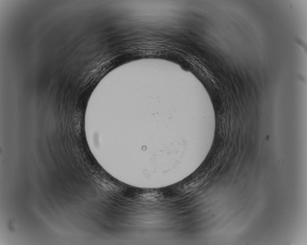 X0000096490505200802211241