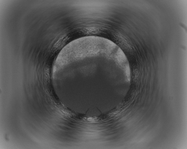 X0000096490506200802211241