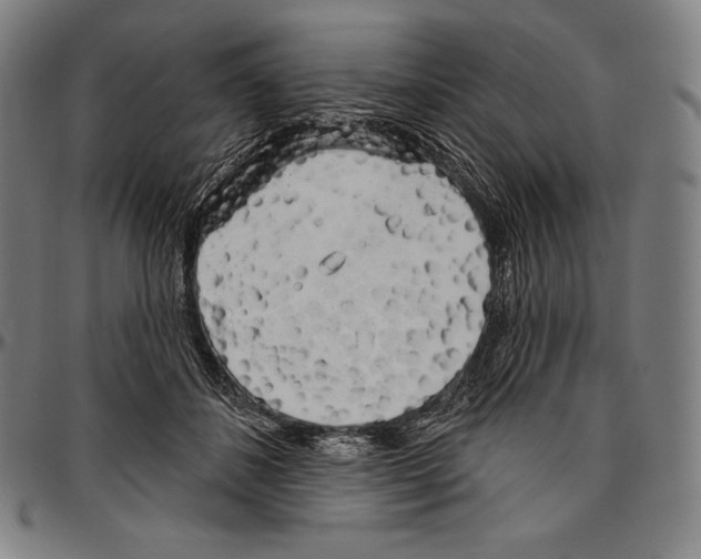 X0000096490508200802211241