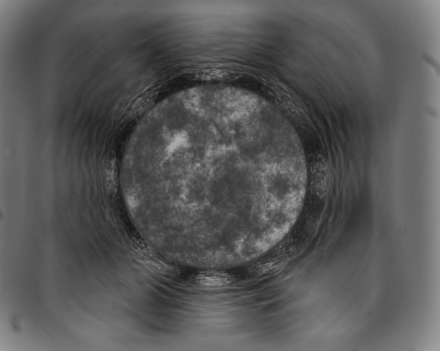 X0000096490510200802211241