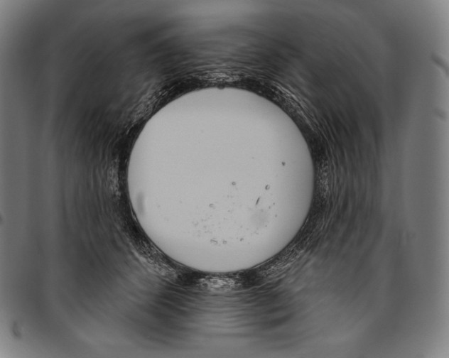 X0000096490512200802211241