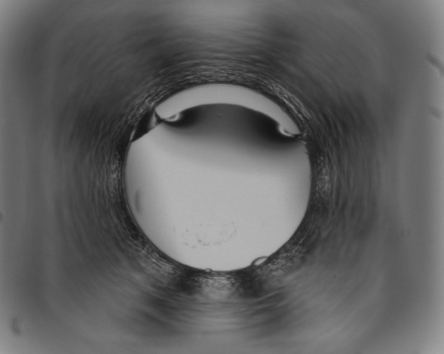 X0000096490513200802211241