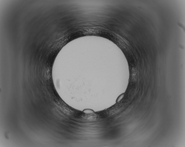 X0000096490514200802211241