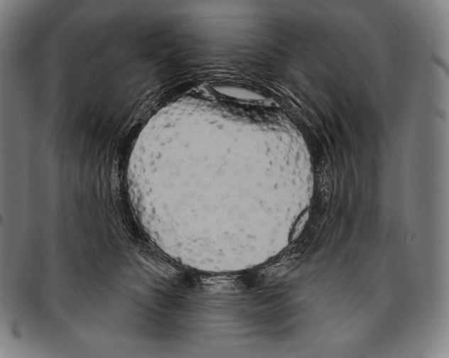 X0000096490516200802211241