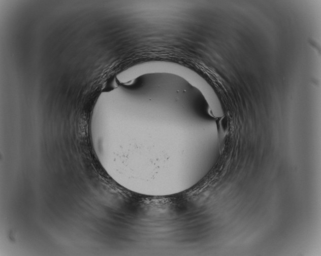 X0000096490517200802211241