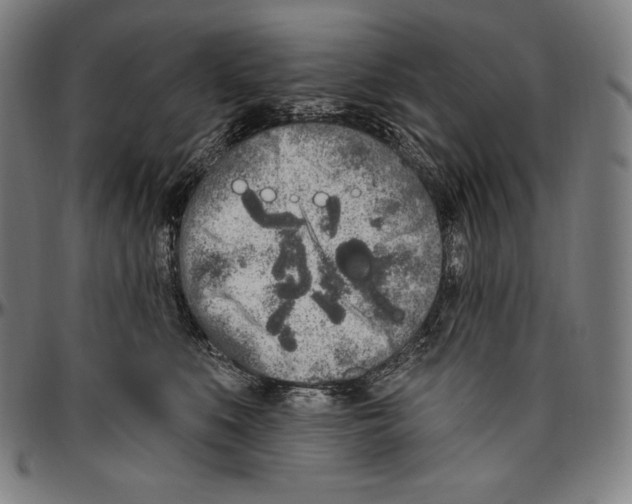 X0000096490519200802211241