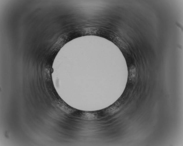 X0000096490522200802211240