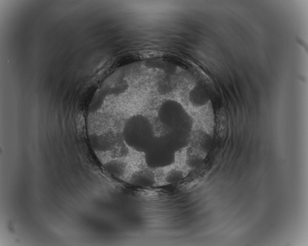 X0000096490523200802211240