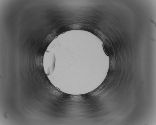 X0000096490525200802211240