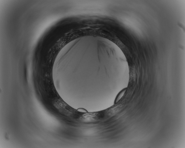 X0000096490526200802211240