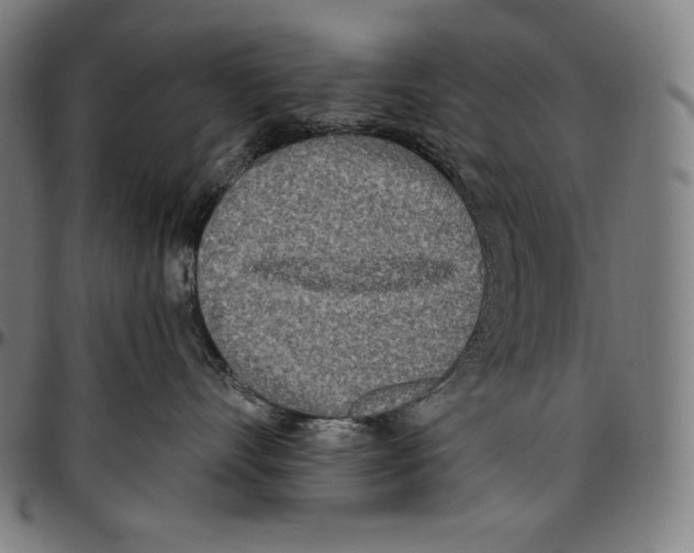 X0000096490528200802211240