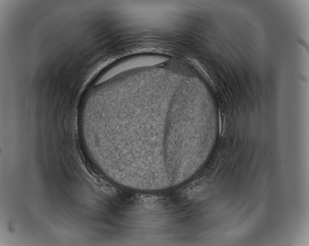 X0000096490531200802211240