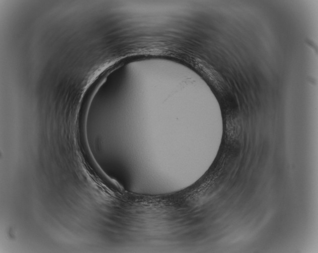 X0000096490532200802211240