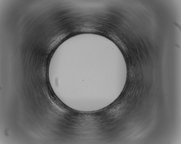 X0000096490533200802211240