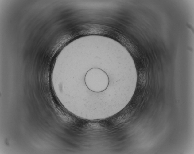 X0000096490534200802211240