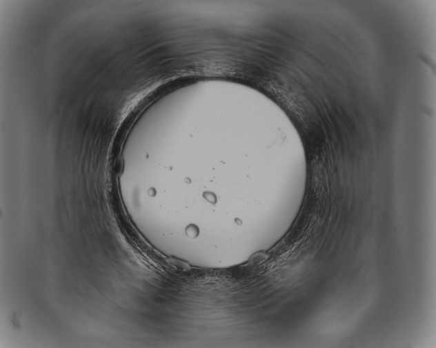 X0000096490536200802211240