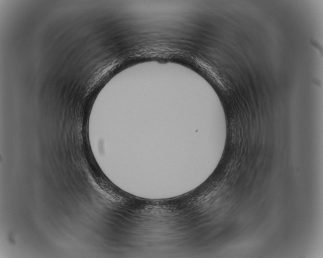 X0000096490538200802211240