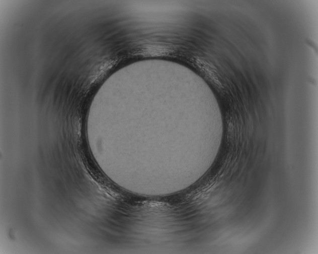 X0000096490539200802211240