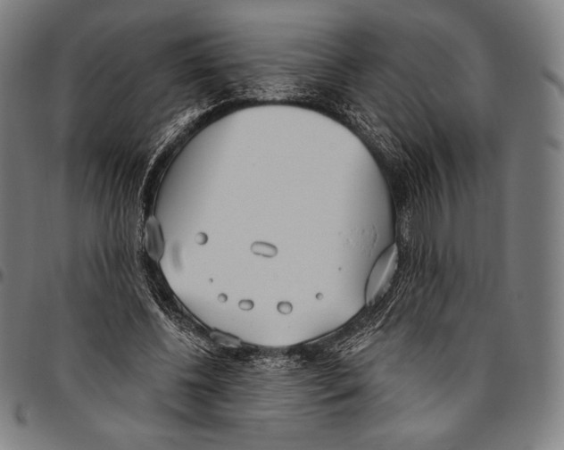 X0000096490540200802211240