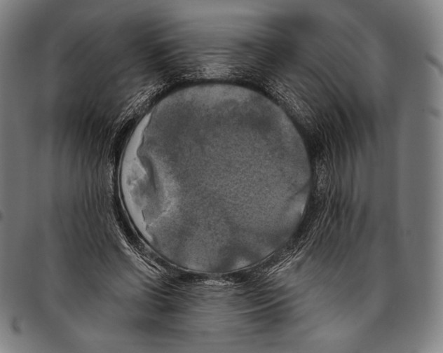 X0000096490542200802211240