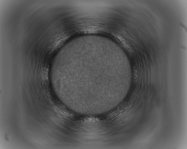 X0000096490543200802211240