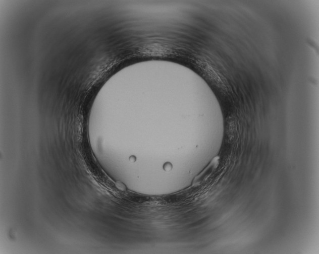 X0000096490544200802211240