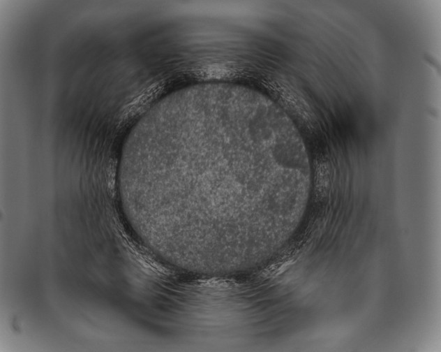 X0000096490545200802211240