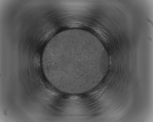 X0000096490547200802211240