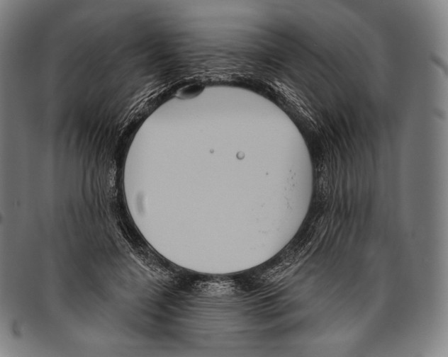 X0000096490548200802211240