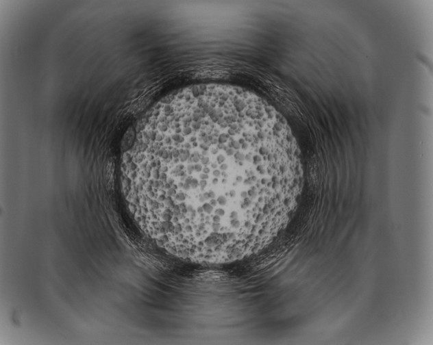 X0000096490551200802211240