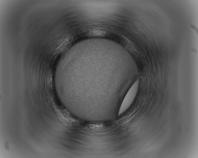 X0000096490552200802211240