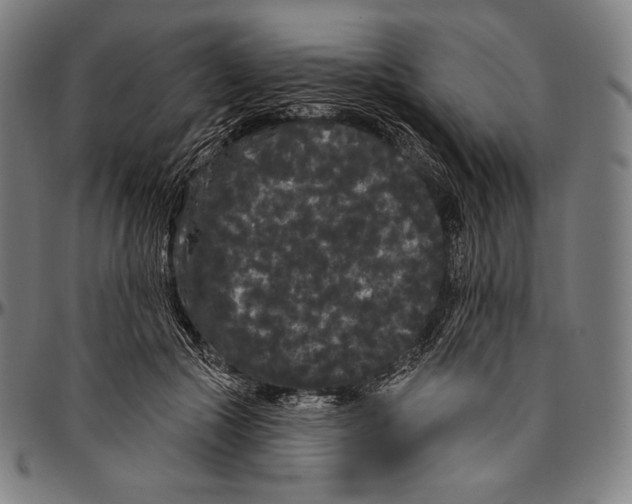 X0000096490553200802211240