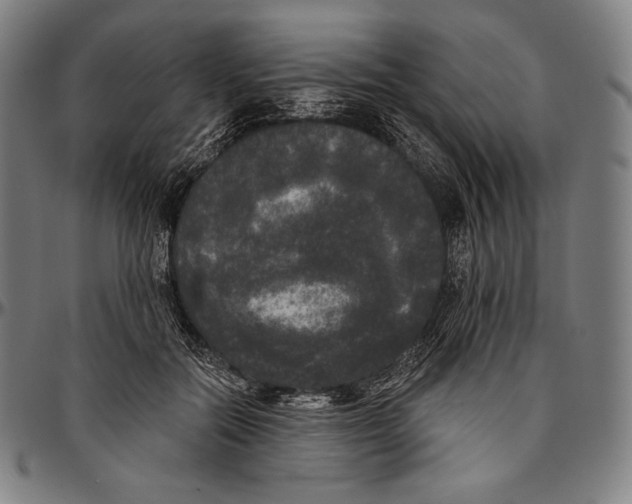 X0000096490554200802211240