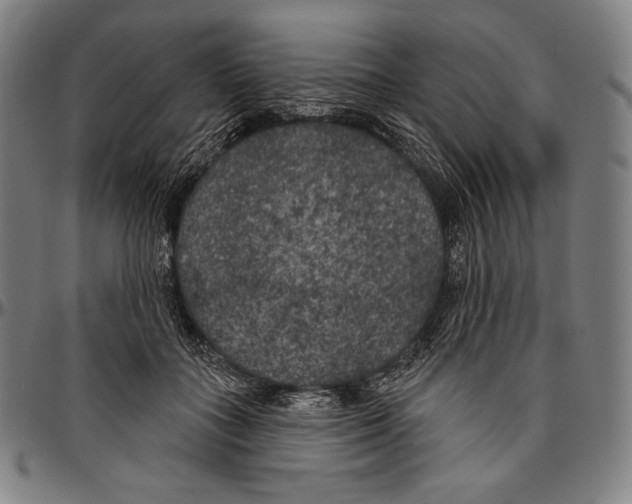 X0000096490555200802211240