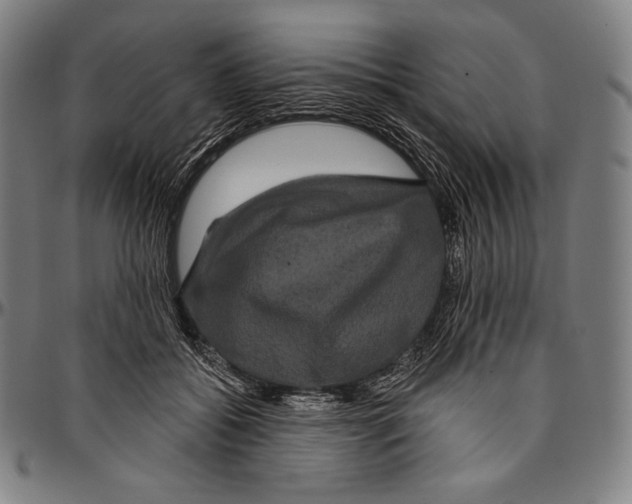 X0000096490556200802211240