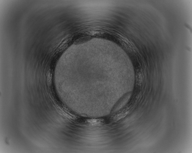 X0000096490558200802211240