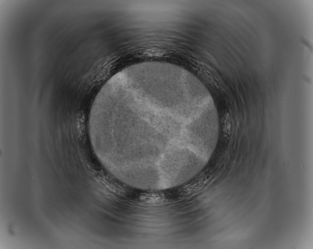 X0000096490559200802211240