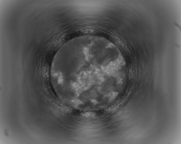 X0000096490561200802211240