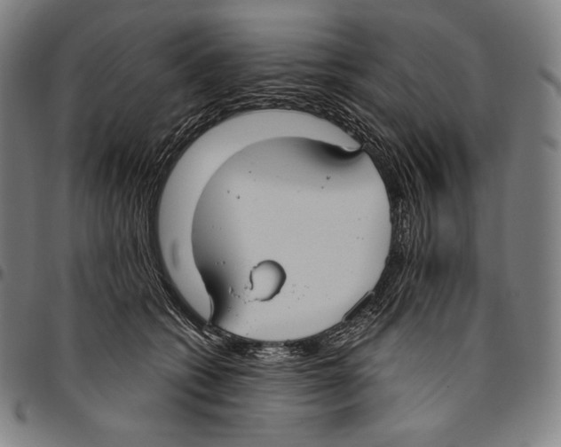 X0000096490562200802211240