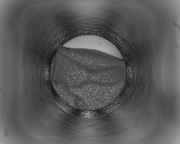 X0000096490564200802211240