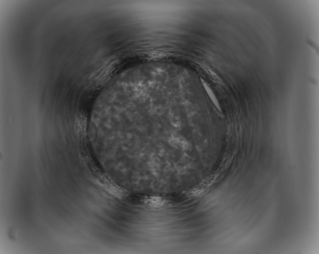 X0000096490565200802211240