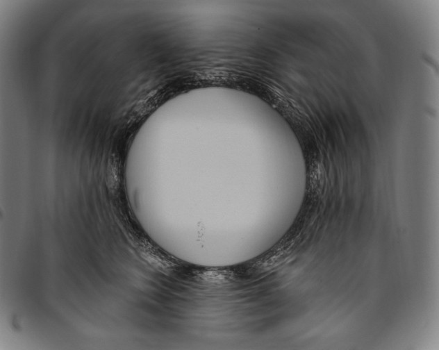 X0000096490566200802211240